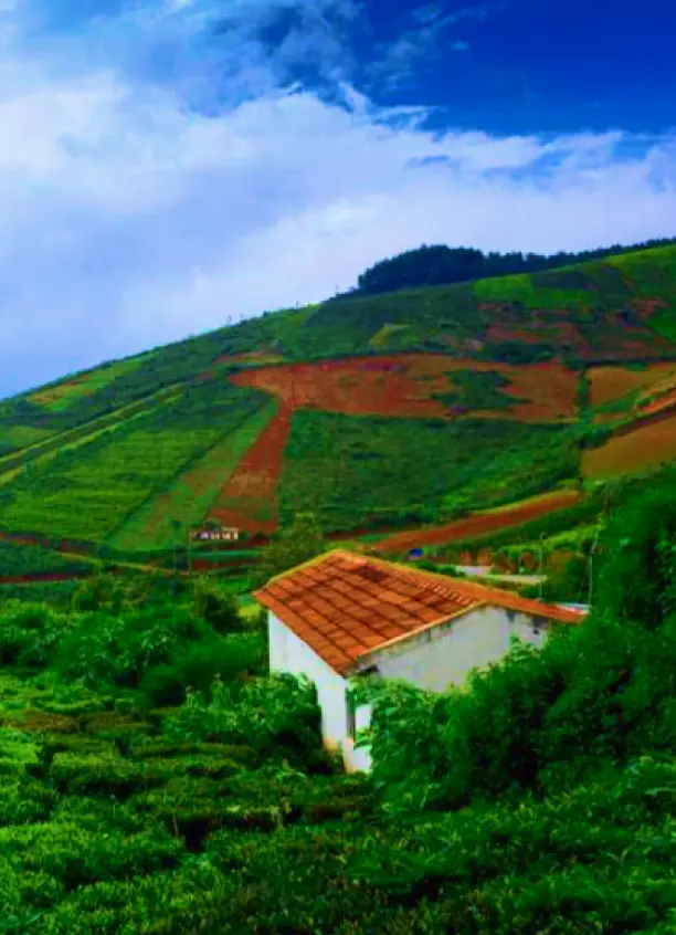 coorg