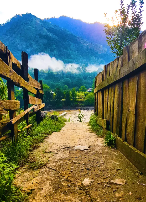 kashmir