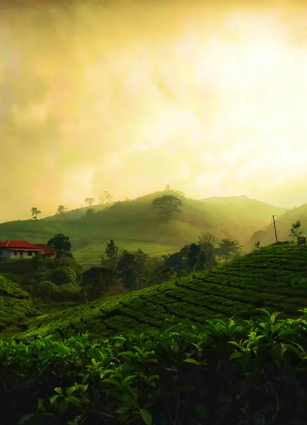 kerala